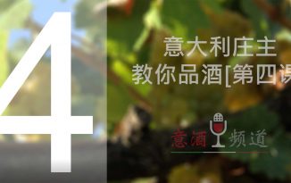 19pindao-4-意大利庄主教你品酒[第四课]