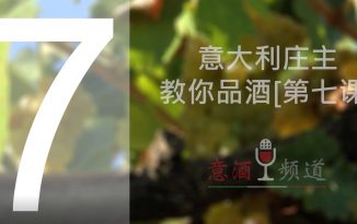 19pindao-7-意大利庄主教你品酒[第七课]